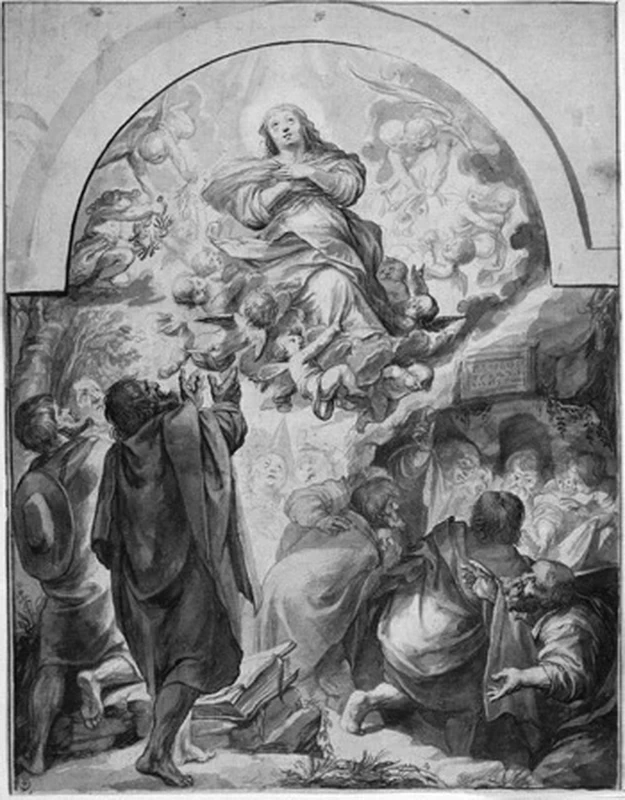 Disegno - Assunzione della vergine